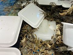 河蟹-钱库里海鲜自助(星海广场店)