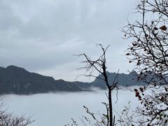 -秦岭终南山世界地质公园翠华山景区