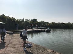 -大湾区中央湿地公园
