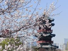 -迎泽公园