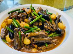 野生黄鳝-金锅小厨(乐活街店)