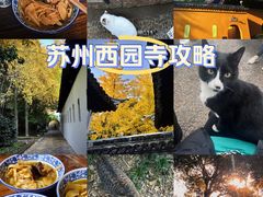 -西园寺