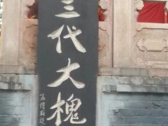 -大槐树寻根祭祖园