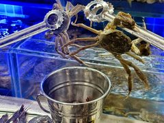 -四囍码头海鲜烧烤自助火锅(外滩南京东路悦荟广场店)