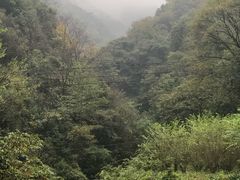-水墨汀溪风景区