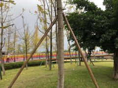 -府河摄影公园