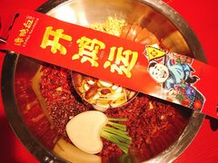 -谭鸭血老火锅(万象九宜城店)