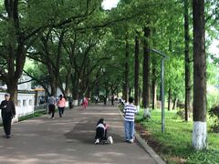 -食膳公园包子铺(烈士公园店)