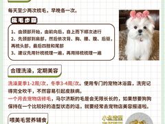 -萌宠之家·腊肠犬·马尔泰·小体犬舍