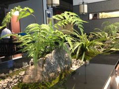 大堂-小菜园新徽菜(合肥之心城店)