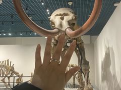 -大连自然博物馆·地球展厅