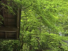 -野宫神社