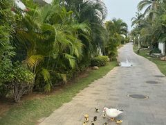 -亚龙湾海底世界