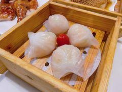 悦满楼虾饺皇-悦满楼·西关名点·湛江名菜(航空综合大厦店)