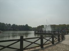 -上海鲜花港