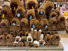 -酷乐潮玩(五道口购物中心店)