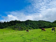 -山王坪喀斯特国家生态公园