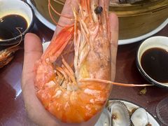 清蒸海鲜大咖-日月昇渔家菜·海肠捞饭·大连海鲜(星海公园店)