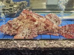 -聚福宝合苑食府(南头镇店)