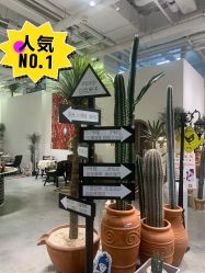 -好看加白色房子