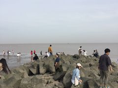 -南汇嘴观海公园