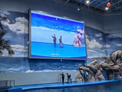 -福州罗源湾海洋世界旅游区