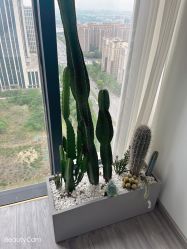点击看大图 -Doris多里斯半永久纹眉·SMP纹发·发际线