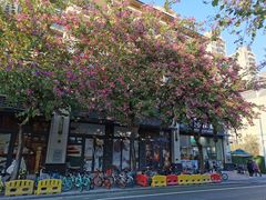 -无影脚佛山陈氏盲公丸始创店(飞鸿街店)