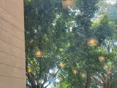 -惠州白鹭湖雅居乐喜来登酒店-采悦轩中餐厅