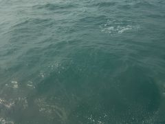 -澳门外港客运码头(轮渡站)