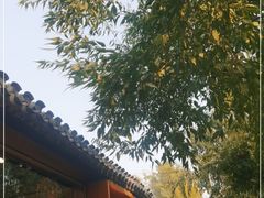 -春风习习