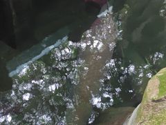 -青青世界