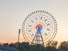 -特克斯八卦城