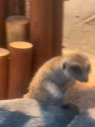 -Zoolung Zoolung动物主题公园(海信广场店)