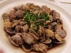 姜葱炒花蛤-宝燕海鲜(好爱店)