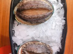 六头鲍鱼-捞围鲜·港式打边炉(海阳路店)