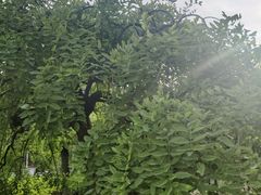 -白塘生态植物园