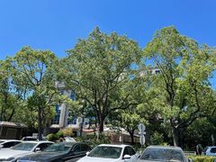 -上海市公安局交通警察总队车辆管理所三分所