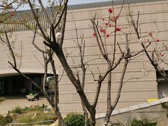 -铁道游击队纪念馆