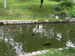 -春风习习