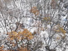 -丹东天桥沟景区