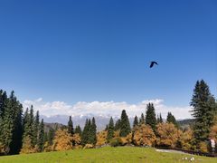 -新疆那拉提国家旅游度假区