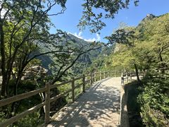 -牛背梁国家森林公园
