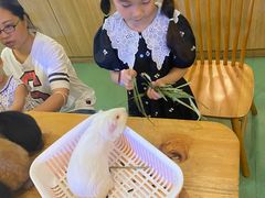 -藦茜花园宠物主题亲子互动体验馆(国顺东路店)