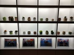 -蓝旗儿童游泳俱乐部(北国中心)