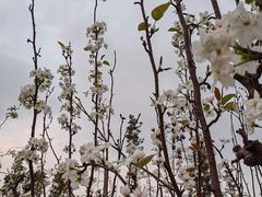 -桂溪生态公园