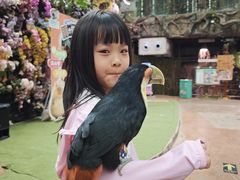 -正佳雨林生态植物园