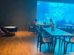 -海棠湾洲际-涛·海底餐厅·美人鱼·自助餐·海底隧道