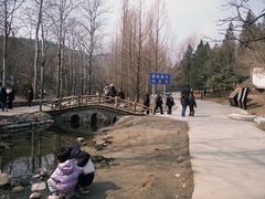 -白水寺森林公园