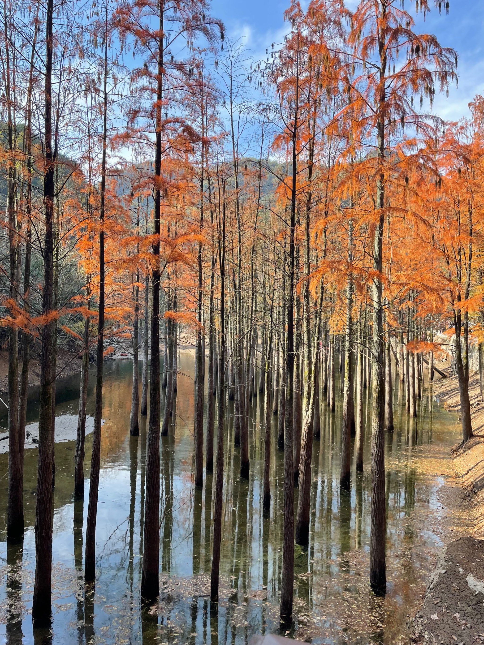 稽东镇雪窦岭图片